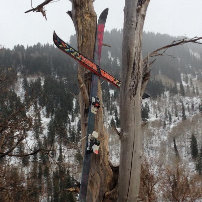 575293_501187586581333_758877828_n